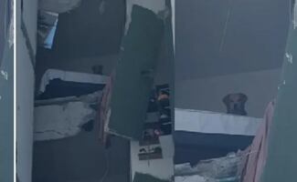 Kiara, la imagen que dio la vuelta al mundo; perrita atrapada tras terremoto en Colombia llevaba 4 días de ser adoptada