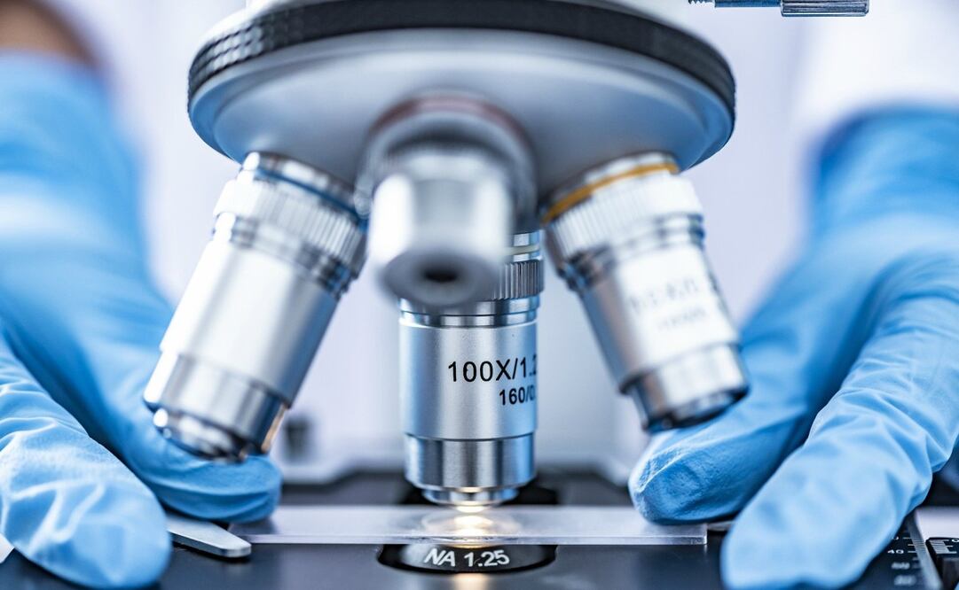 Es una investigación llevada a cabo en una universidad estadounidense. Imagen Pixabay 