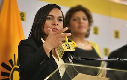 Diputado Jiménez Rumbo ejerció violencia política contra Beatriz Mojica: TEPJF