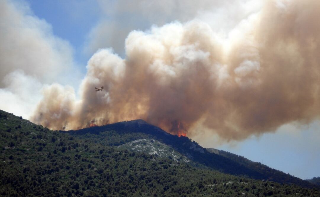 Foto: Cortesía DGCS UNAM