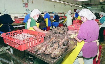 Autorizan que México sancione a EU por atún