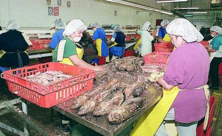 Autorizan que México sancione a EU por atún