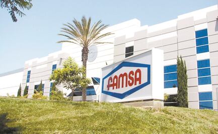 Presidente del consejo de administración de Grupo Famsa toma licencia 