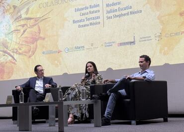 Un día por los mares: un llamado por los océanos de México