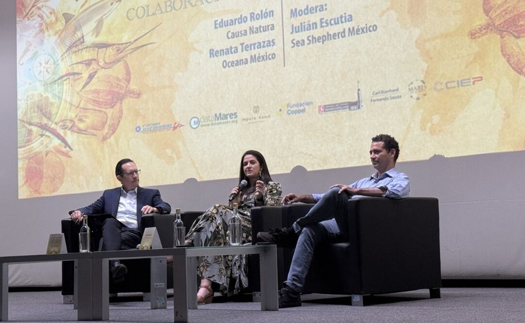 Panel durante el evento Un día por los mares. Participaron: Renata Terrazas de Oceana; Eduardo Rolón de Causa Natura y moderó Julián Escutia de Sea Shepherd México.  |  Foto: Cortesía.