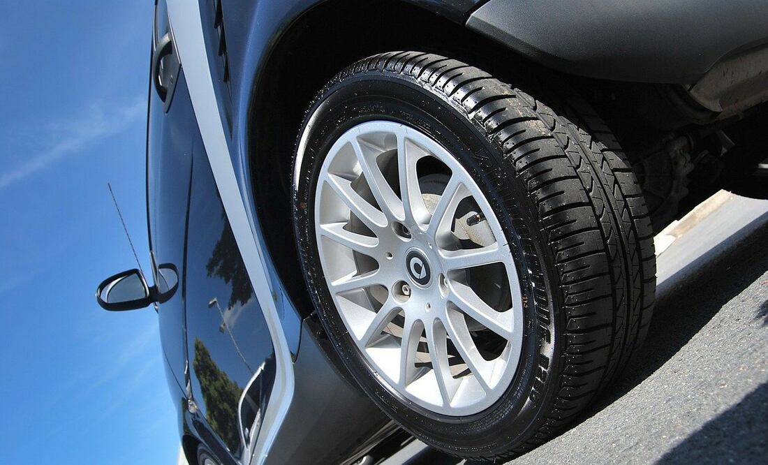 Por qué los perros orinan las llantas de los autos