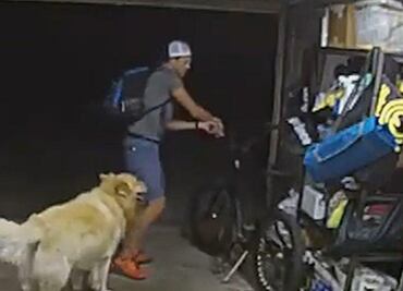 Ladrón entra a robar una bicicleta y se detiene para acariciar al perro de la casa