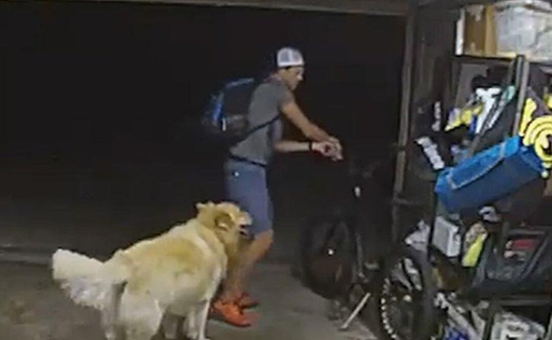 El perro persigue al ladrón, quien se para y lo acaricia antes de robarse la bicicleta. Foto: Tomada del video