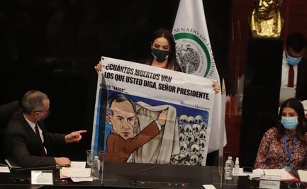 Crónica: Burlas, protestas y pancartas, una accidentada cita de Gatell en el Senado