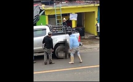 Suspenden a tres trabajadores por caso de maltrato animal en Chapulhuacan, Hidalgo