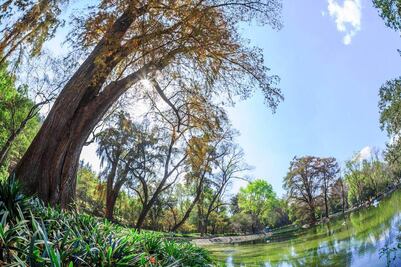 En agosto, terminan obras en 2da sección de Chapultepec