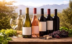 7 vinos argentinos disponibles en México que tienes que probar