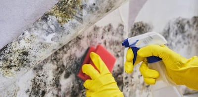 ¿Cómo eliminar el moho del lavadero?; descubre el truco casero para acabar con la humedad