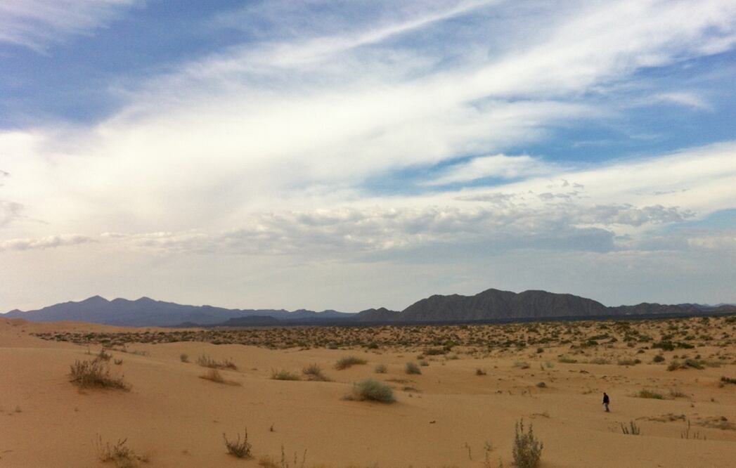 Foto: Archivo/EL UNIVERSAL