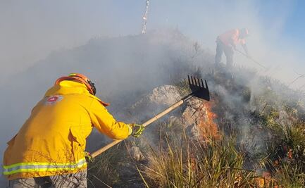 Reportan incendio forestal en el Cerro de la Silla