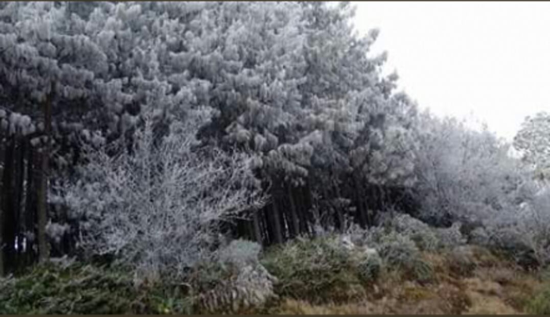 Postales de invierno en la República Mexicana