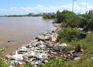 Alertan por pescados y mariscos con plástico en Yucatán