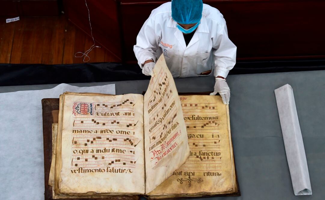 Foto:  Rodrigo BUENDIA / AFP