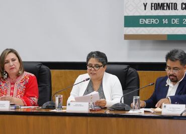 No promoveremos el terrorismo fiscal, dice Raquel Buenrostro, nueva jefa del SAT