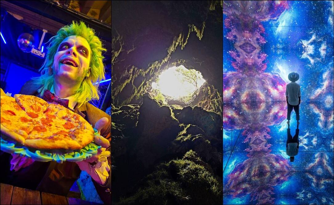 Fotos: La Extraña Pizza; Michel Ismael Figueroa Padilla. Istock; Mystika