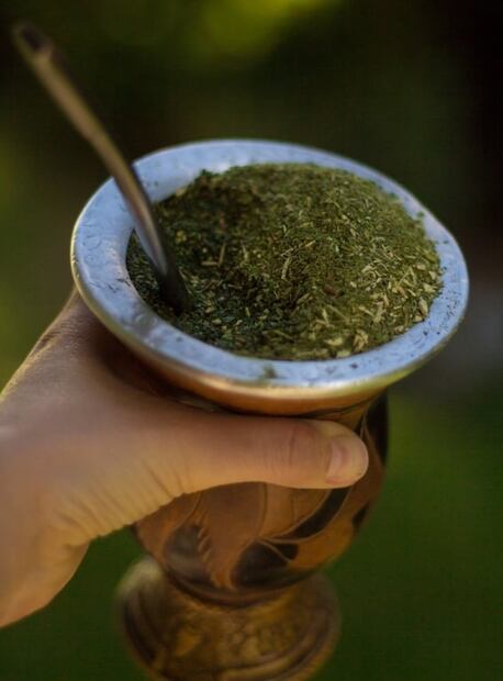 Beneficios de beber yerba mate