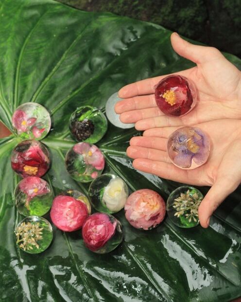 Cantina Experimental, beberse la Sierra Madre Occidental