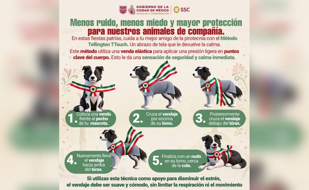 El vendaje debe colocarse de manera que no interfiera con la respiración ni con el movimiento del perro.
(08/09/26)
Foto: SSC CDMX