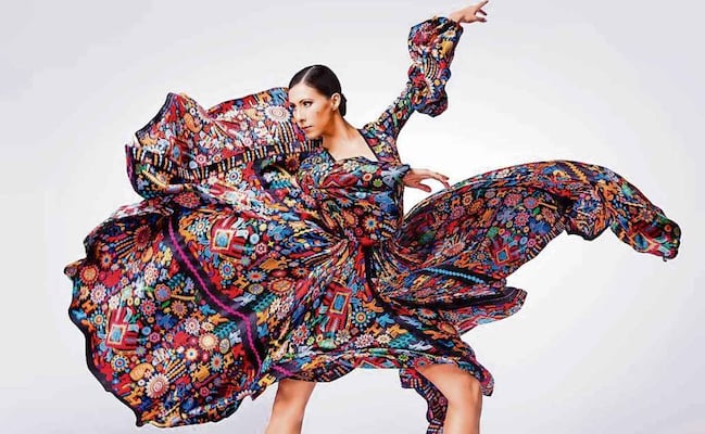 "Hacen falta espacios para vivir de la danza": Elisa Carrillo