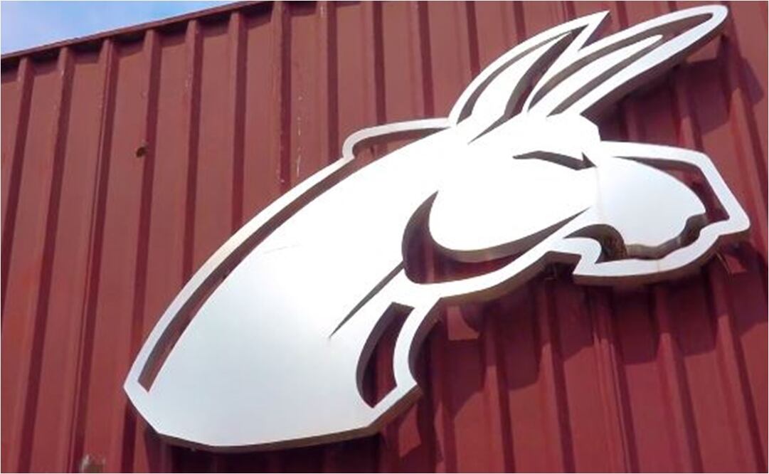 La Onefa actuó en contra de Canchola. IMAGEN: @BurrosBlancos