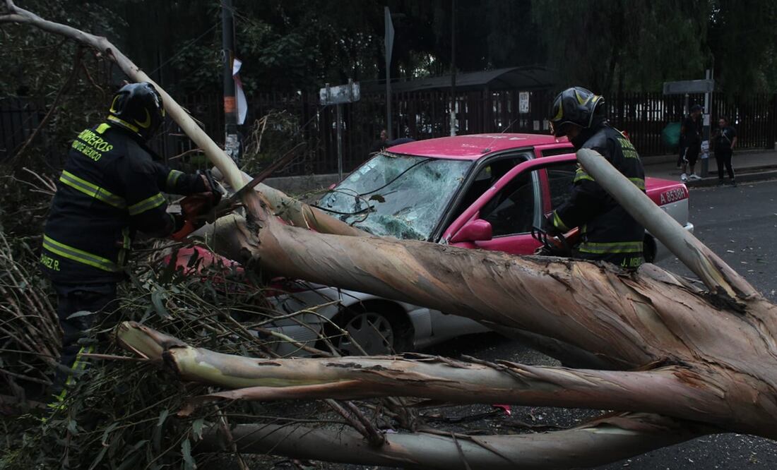 Cae árbol sobre un vehículo por fuertes vientos. Foto: Francisco Rodríguez / EL UNIVERSAL
