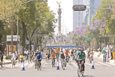 “Qué bien que se reactivó, nos hacía falta”