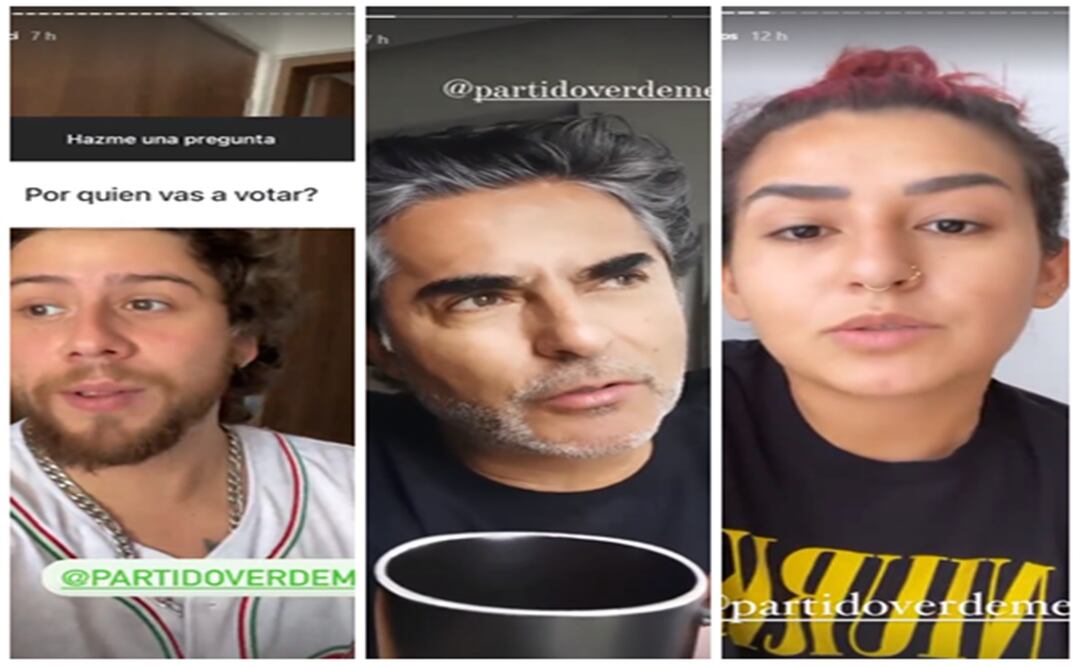 Entre los famosos que pidieron votar por el PVEM se encuentran Alex Strecci, Raúl Araiza y Romi Marcos. Foto: Especial 