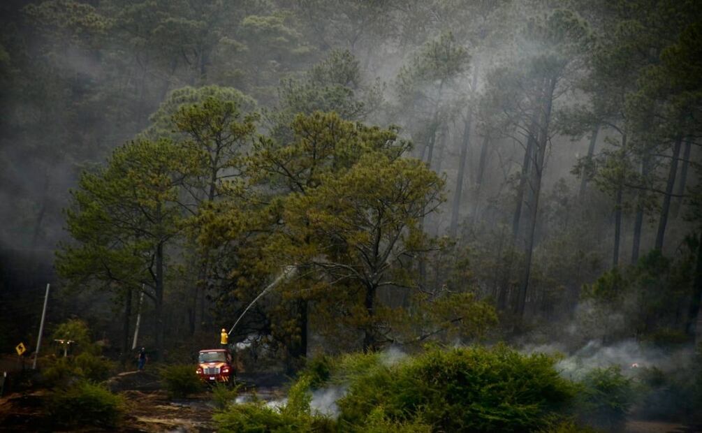 Incendio en  El Carrizal y Tilia, en Tapalpa, y el paraje Ciénega, en Atemajac de Brizuela. Foto: Especial