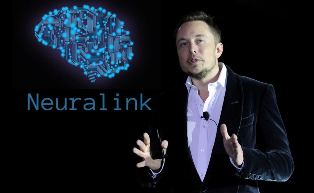 Neuralink, cuyo valor se sitúa entre cinco y ocho mil millones de dólares, ya ha recibido autorización para probar su tecnología en personas parapléjicas. Foto: Archivo/El Universal