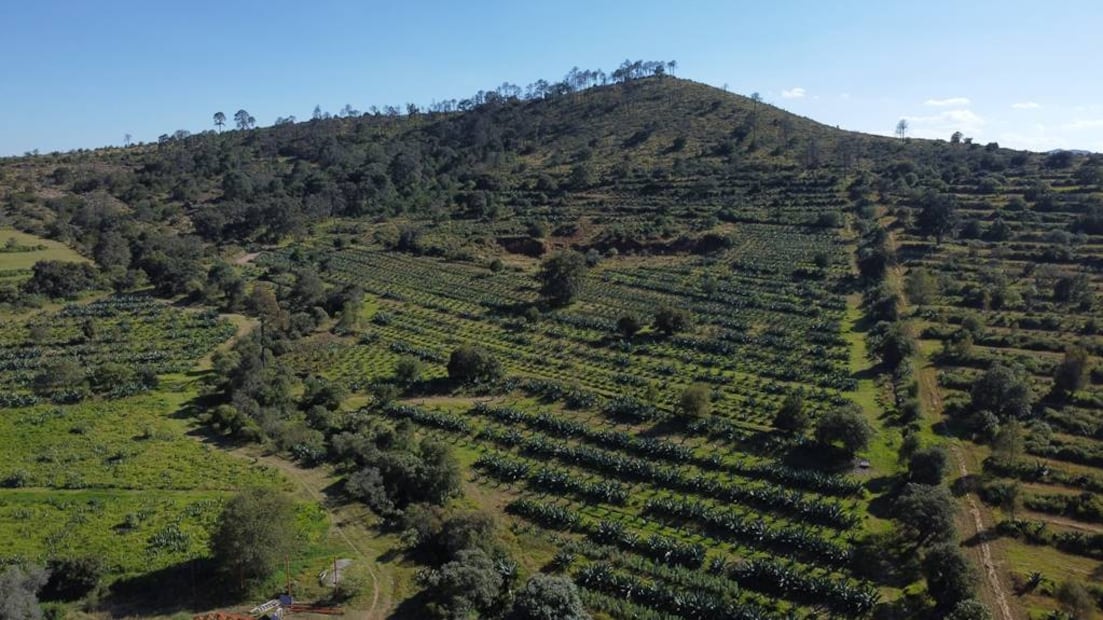 Foto: Rancho La Gaspareña