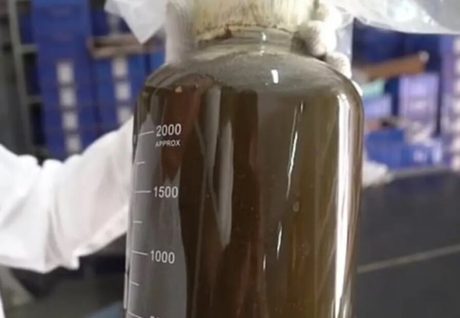 Descubren vasija de más de 2 mil años de antigüedad con líquido misterioso