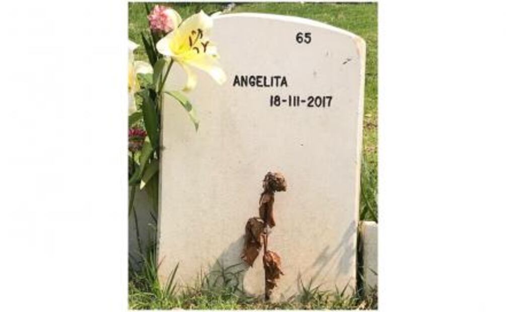 Pide padre Solalinde avances en investigación de feminicidio de "Angelita"