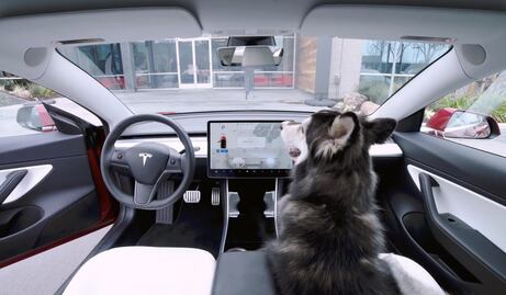 Tesla explica el "Modo Perro" en juicio
