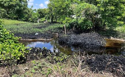 Reportan contaminación de arroyo por derrame de crudo en el norte de Veracruz