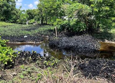 Reportan contaminación de arroyo por derrame de crudo en el norte de Veracruz