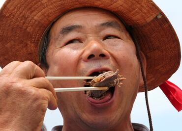 Protestan contra el consumo de carne de perro en Corea del Sur