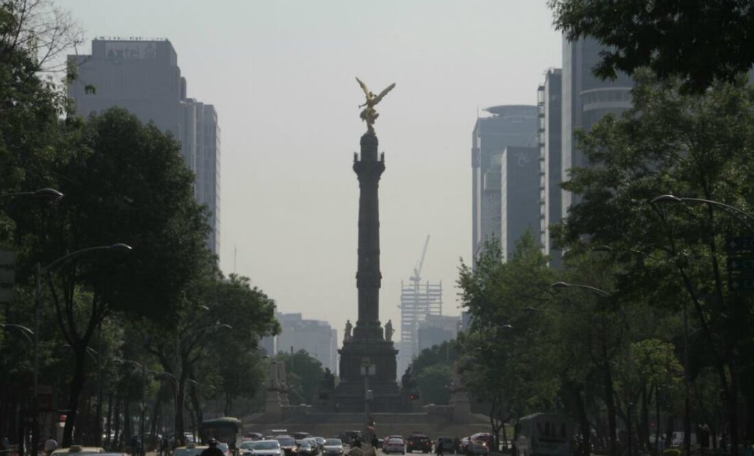 Foto: Juan Boites/EL UNIVERSAL