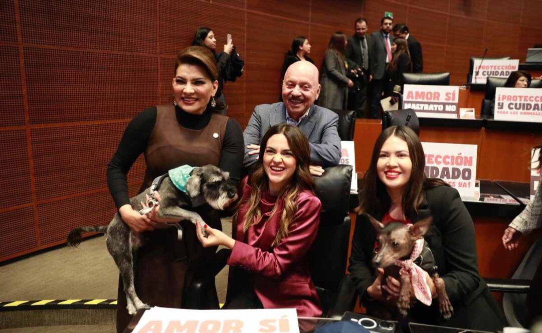 Senado aprueba elevar a rango constitucional la prohibición del maltrato animal. Foto: X @AndreaChavezTre