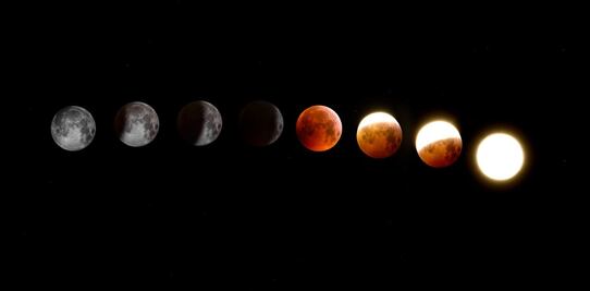 Cuándo y en dónde se verá el eclipse de luna de noviembre