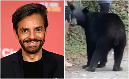 Eugenio Derbez pide salvar a oso de Chipinque