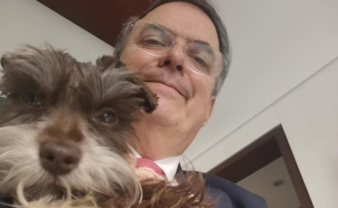Marcelo Ebrard y Luna. Foto: Instagram @marcelo.ebrard