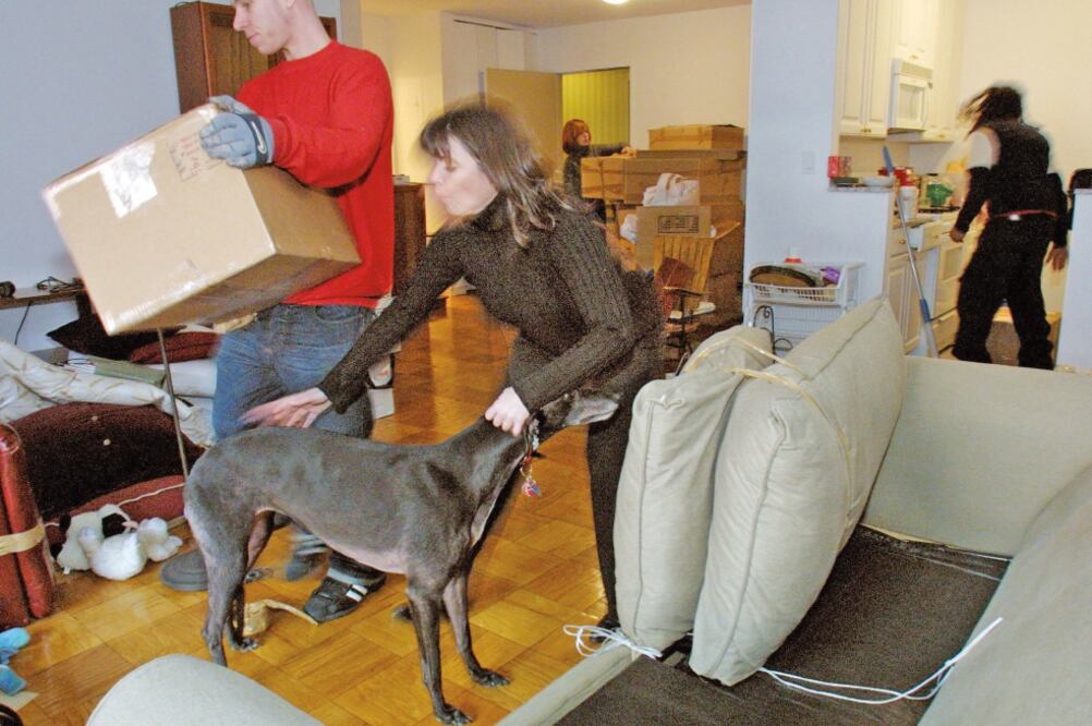 A pesar de la situación económica del país, los jóvenes optan por vivir fuera de la casa de sus padres y recurren a la opción de compartir una casa o departamento con uno o más amigos, para así reducir sus niveles de gasto (ARCHIVO EL UNIVERSAL)