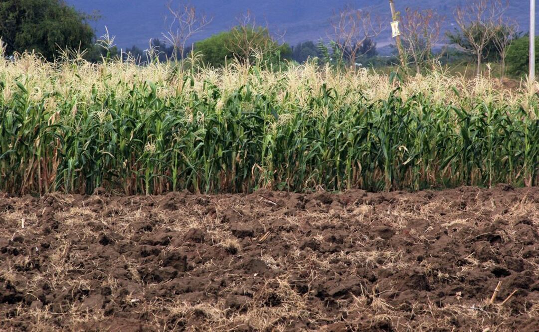 (Foto: Archivo/El Universal)