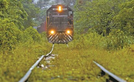 Van 19 mil mdp a carretera de apoyo para el Tren Maya