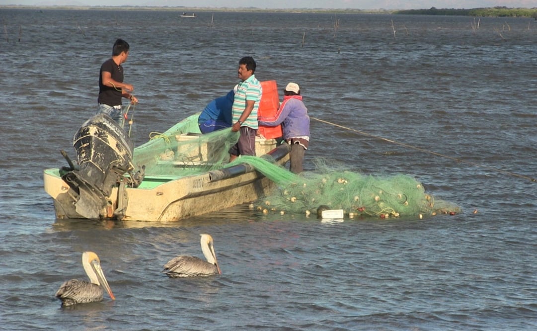(FOTO: archivo. María de Jesús Peters)